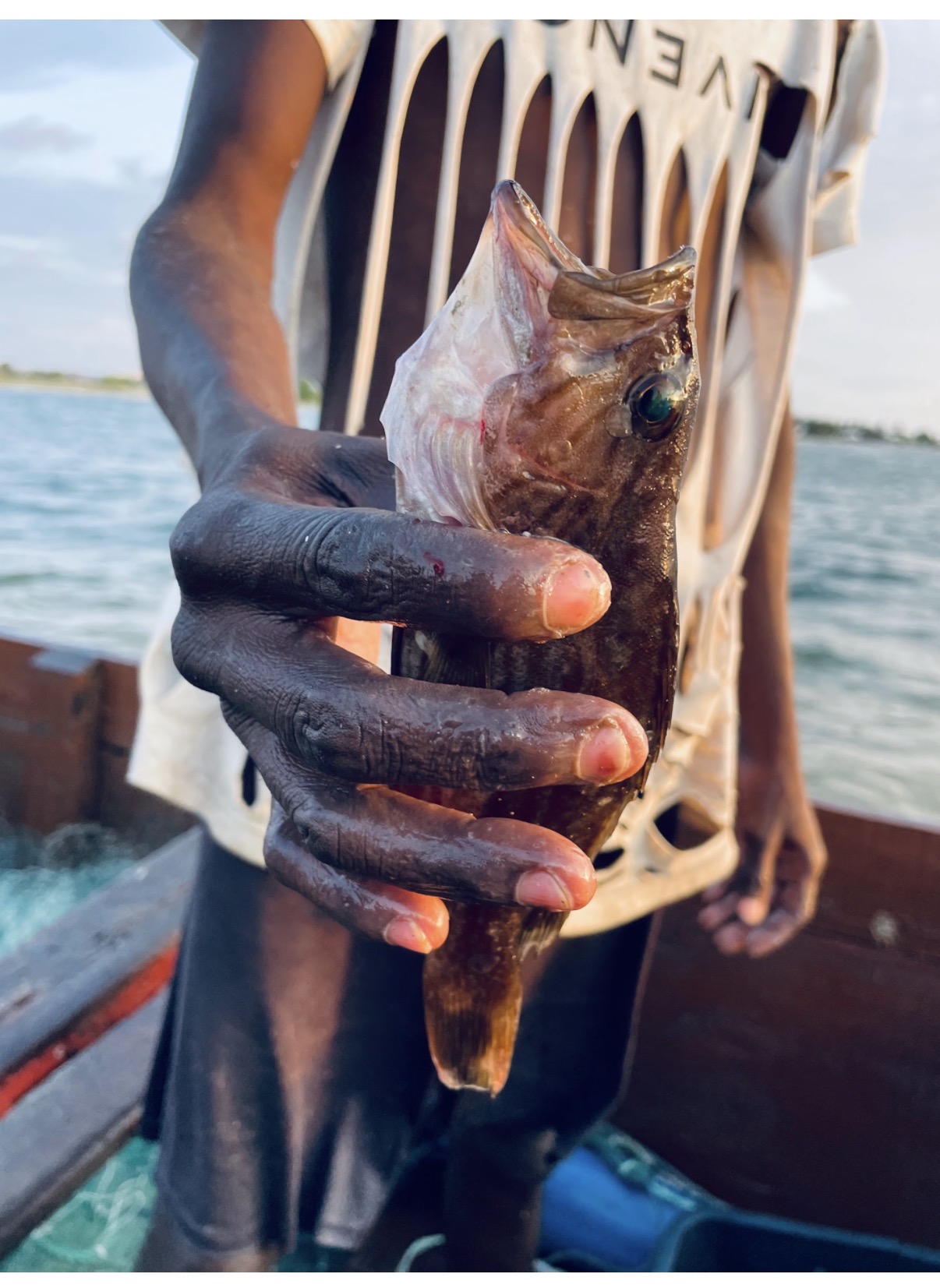 Ancestral Catch — Danielle Scott