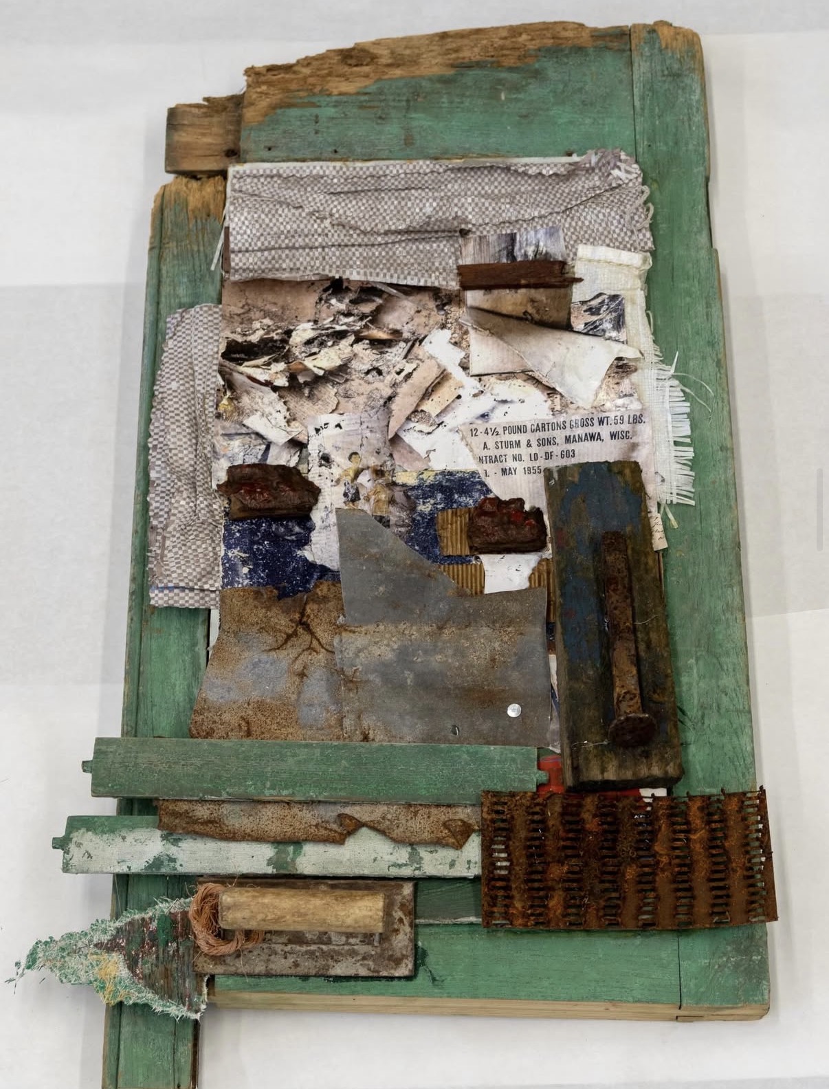 Diaspora — Danielle Scott