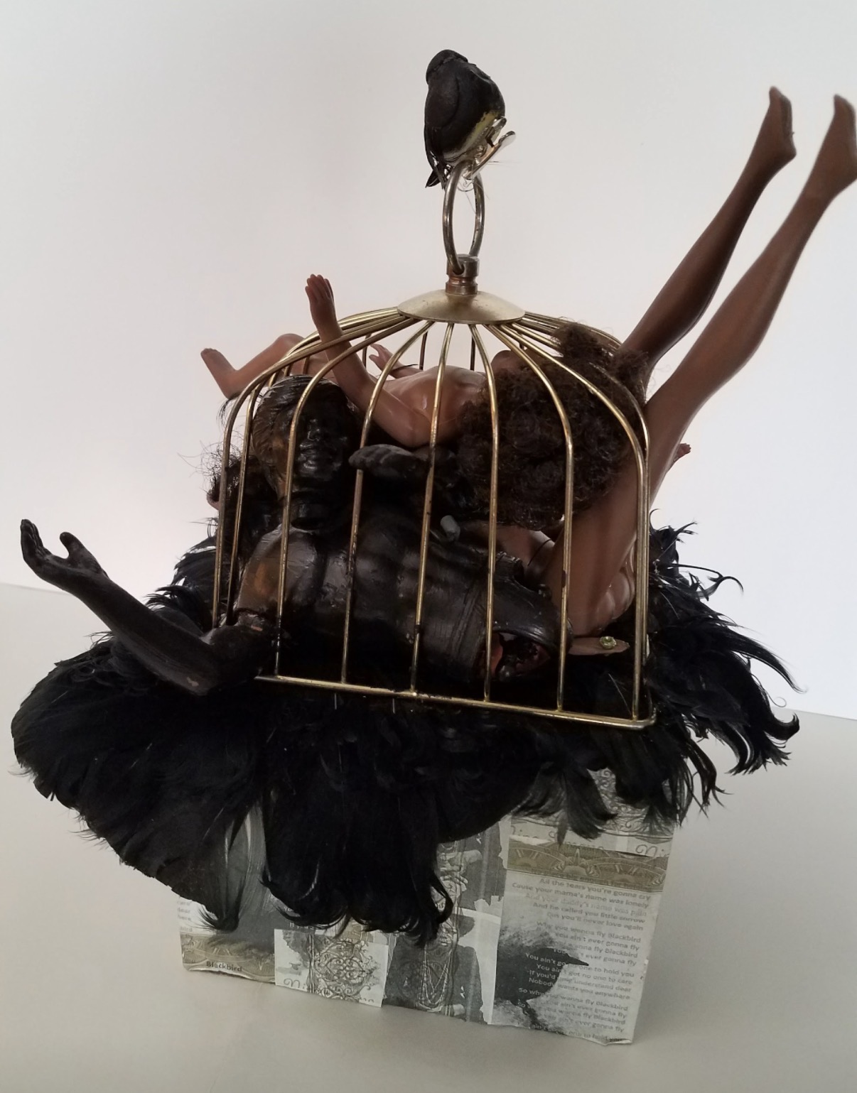 Blackbird — Danielle Scott